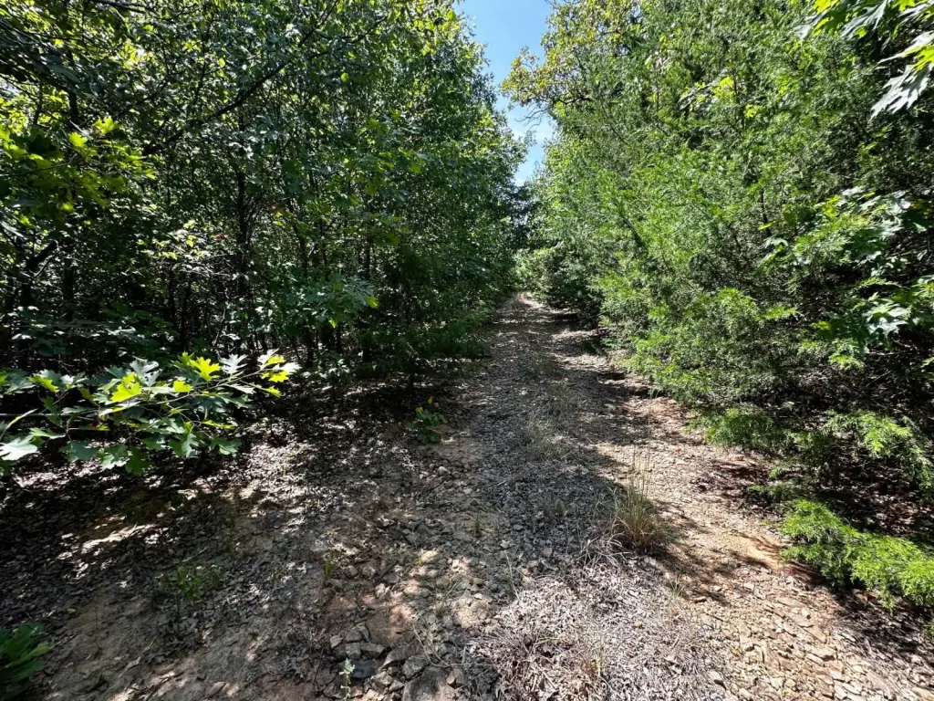 Picture 25
