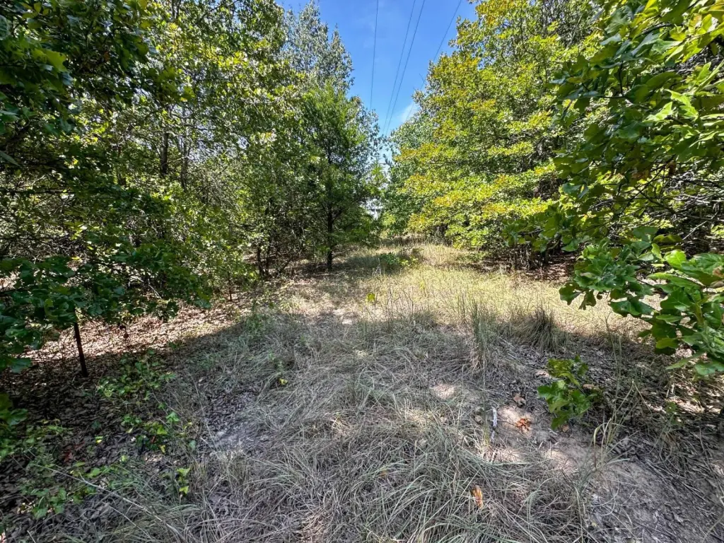 Picture 27