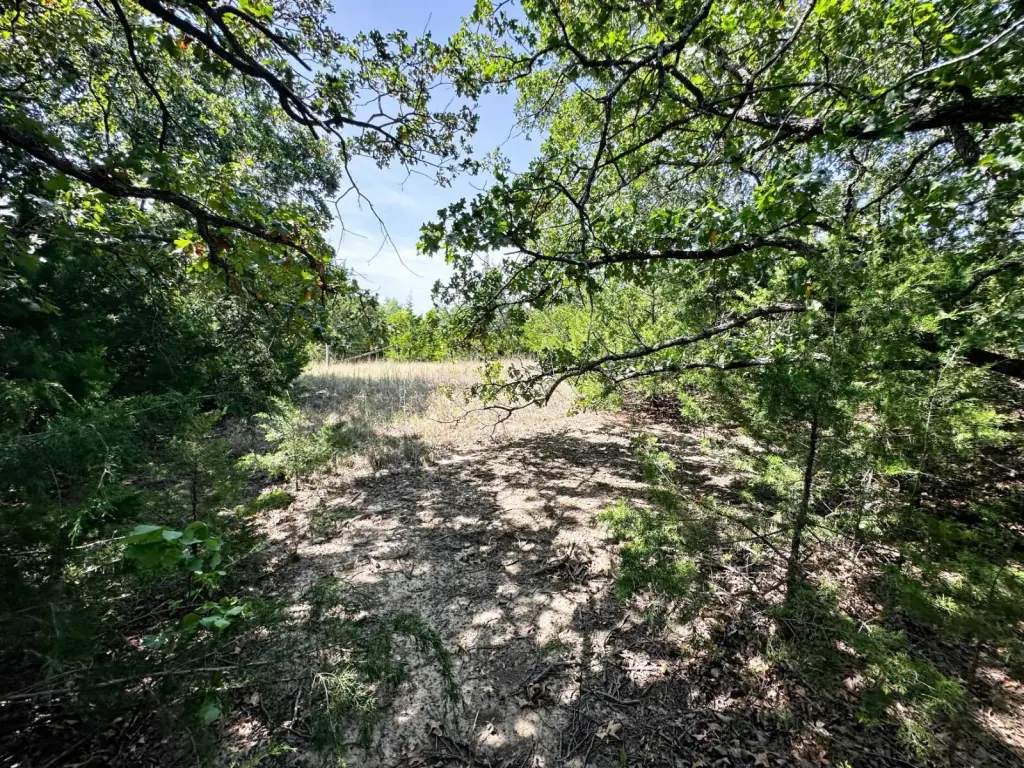 Picture 25