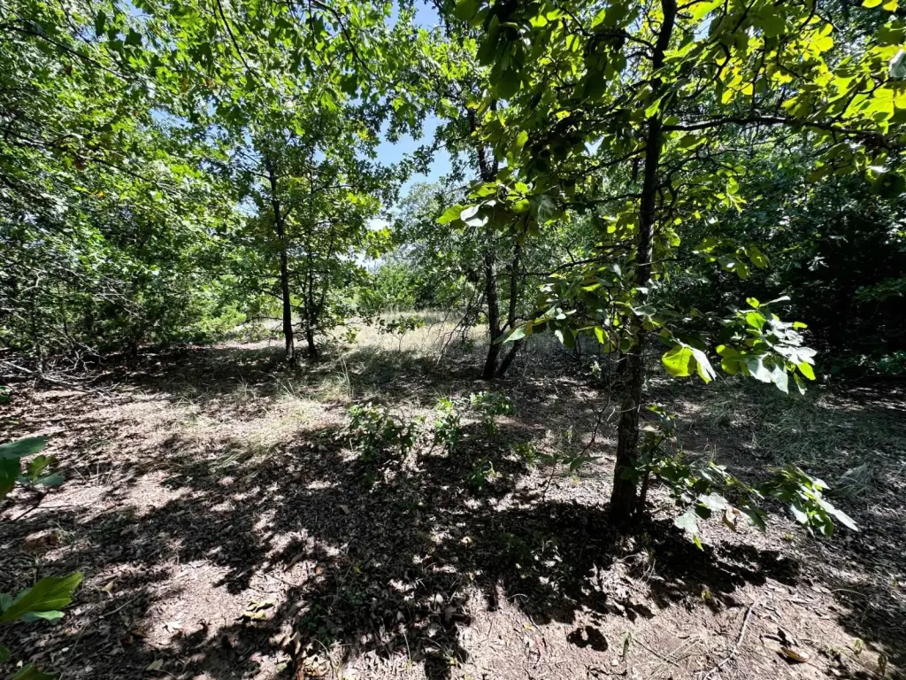 Picture 31