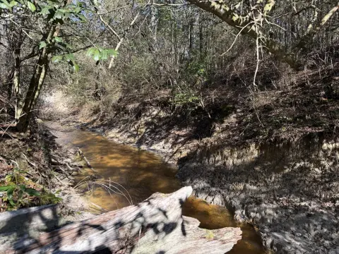 Richton Land with Utilities Access