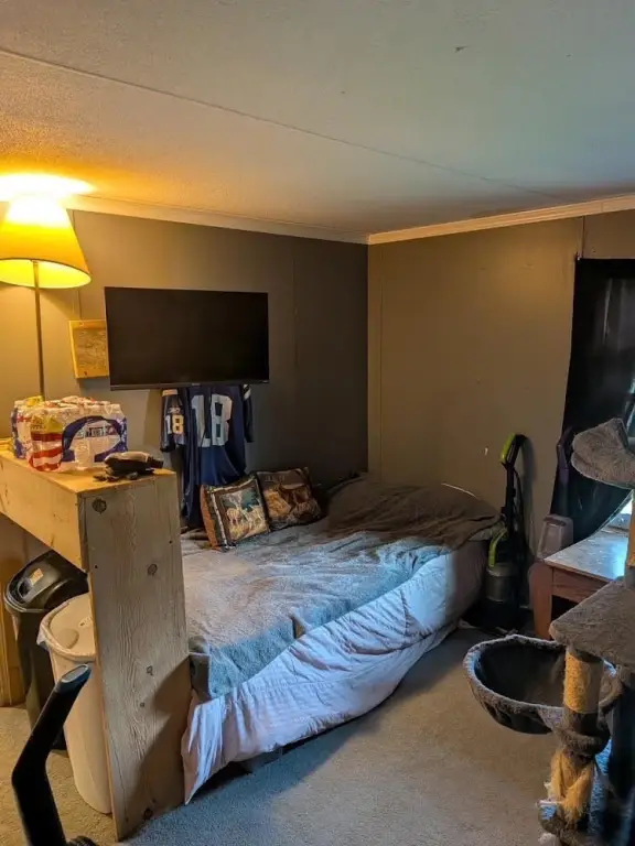 Picture 20