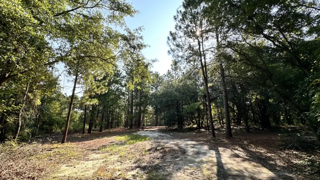 Picture 23