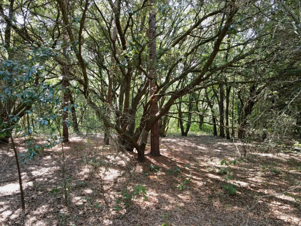 Picture 9