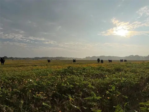 55.9 Acres Cultivated Land Tuscola