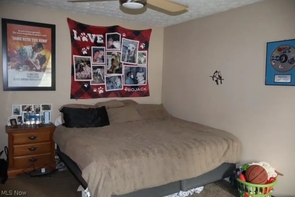 Picture 25