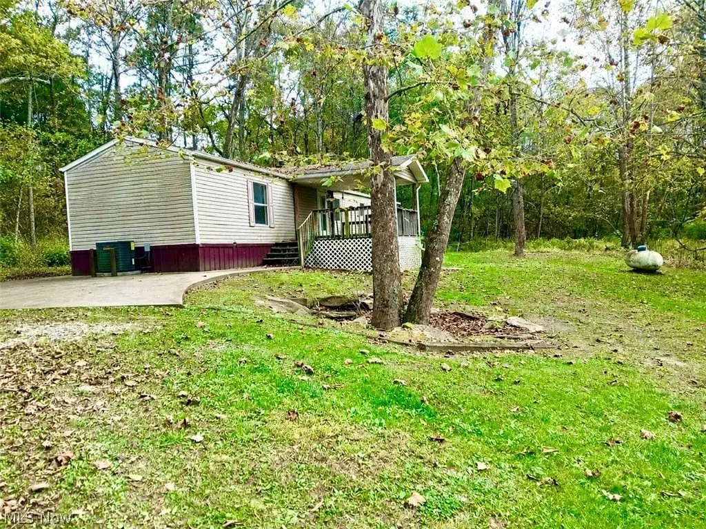 Picture 4