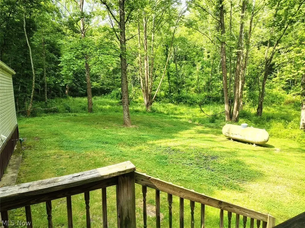 Picture 3
