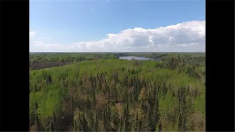 Saginaw Land with Recreational Potential