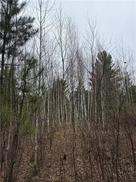 Picture 12