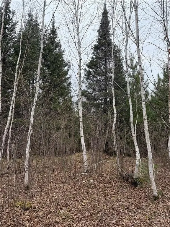 Picture 13