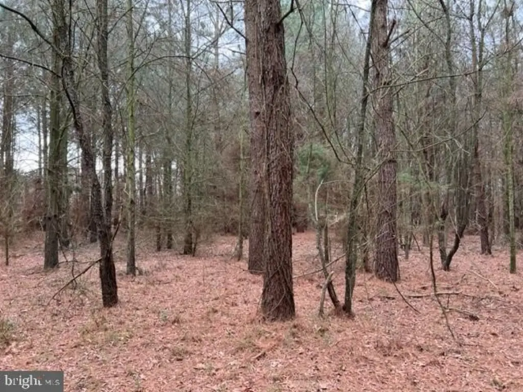 Picture 35