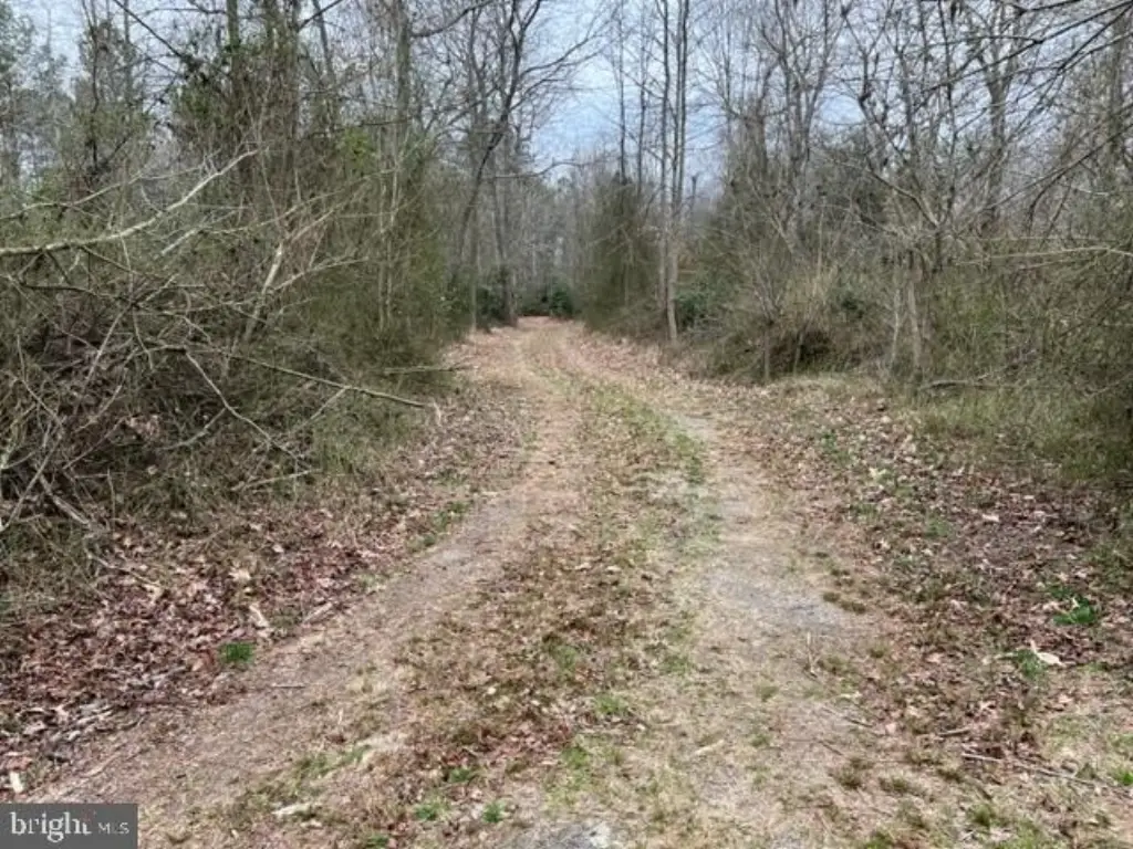 Picture 18