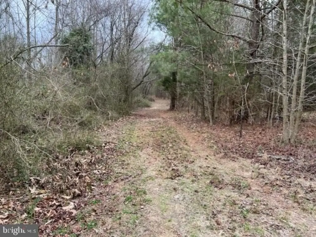 Picture 19