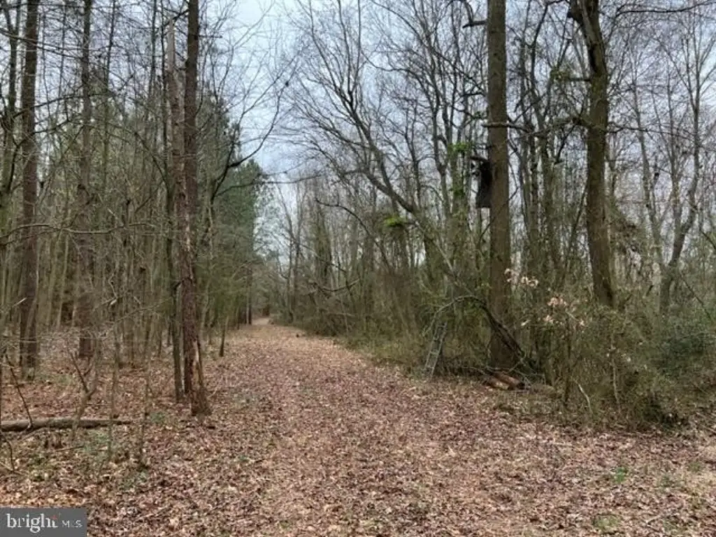 Picture 25