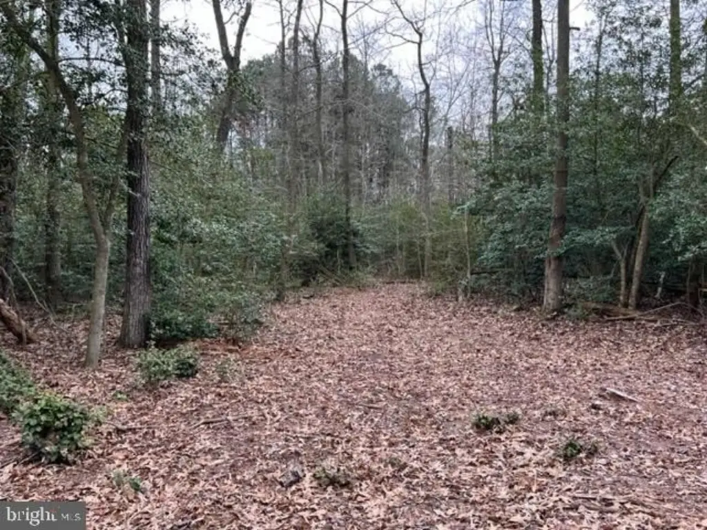 Picture 33
