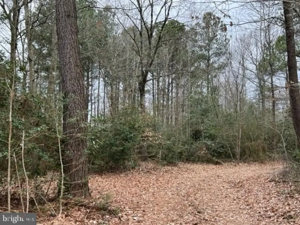 Picture 26