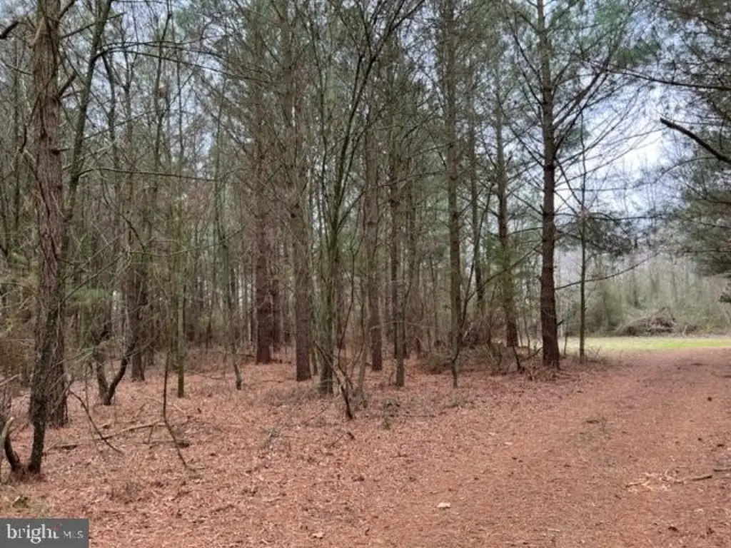 Picture 34