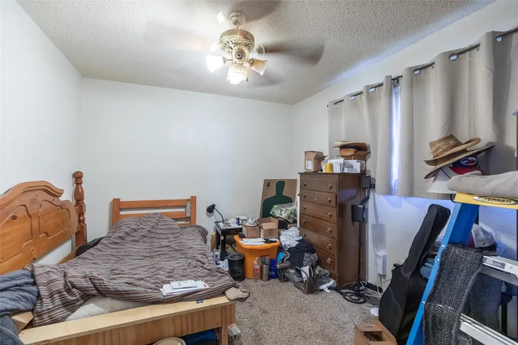 Picture 31