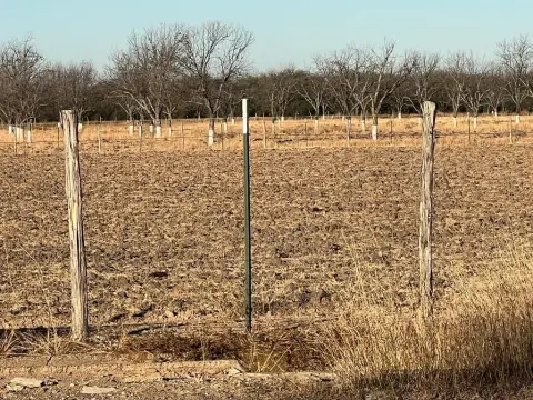Quemado Agricultural Land with Pecan Orchard