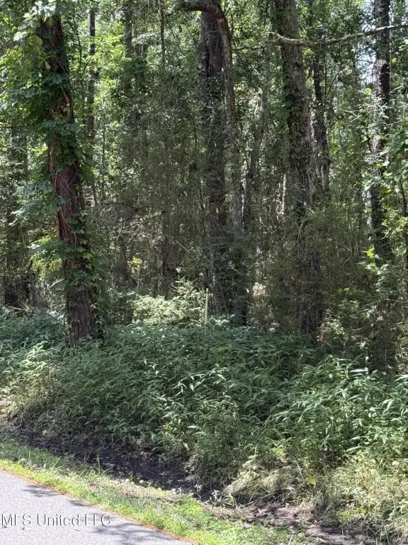 Picture 6