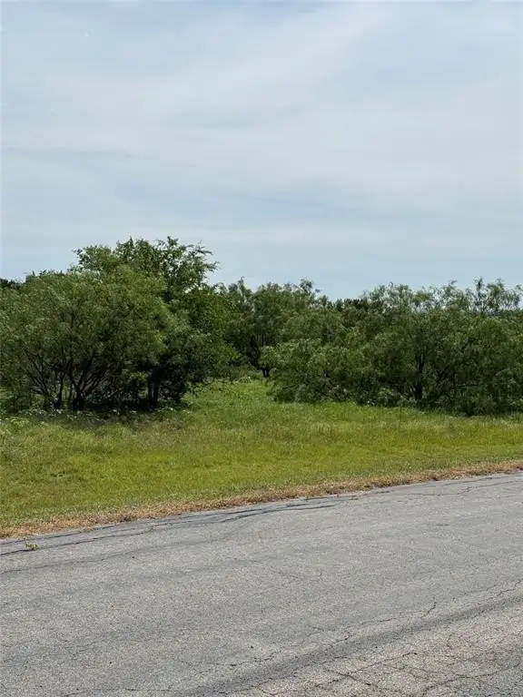 Picture 8