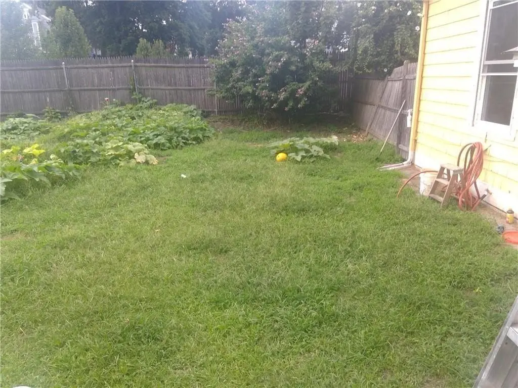 Picture 29