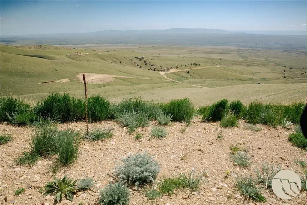 Picture 27