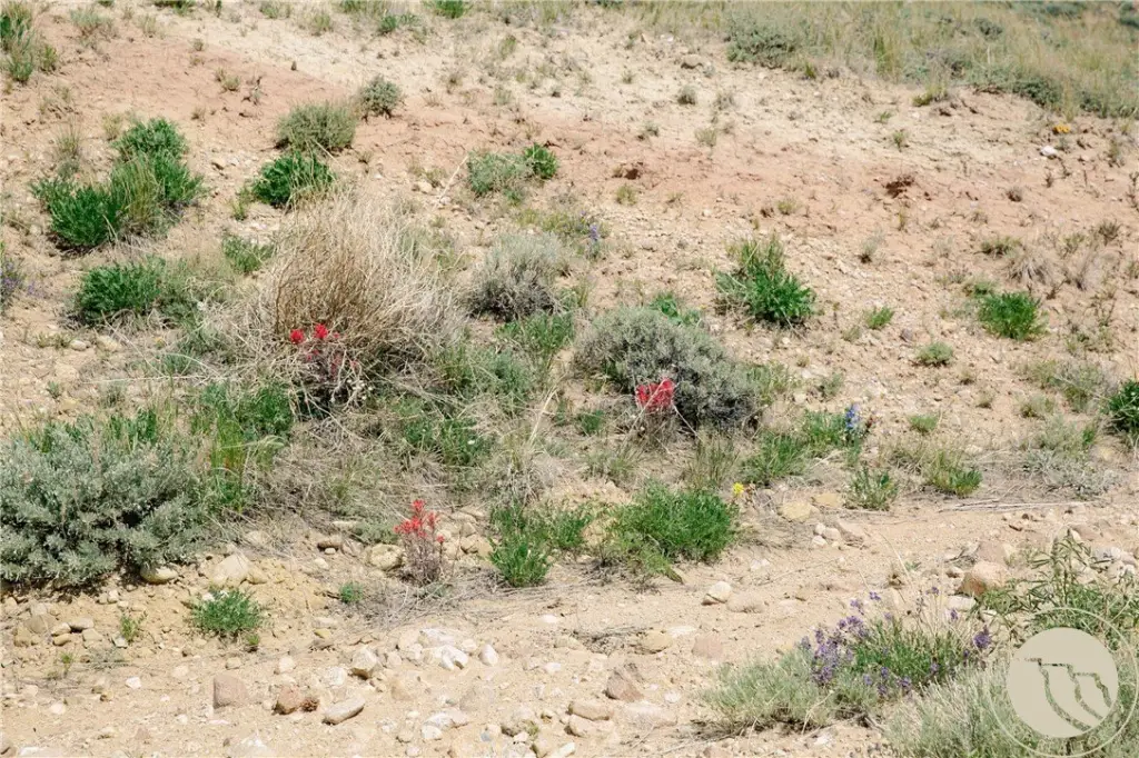 Picture 31