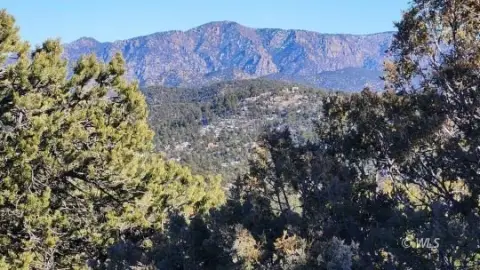 Versatile Treed Land in Cotopaxi