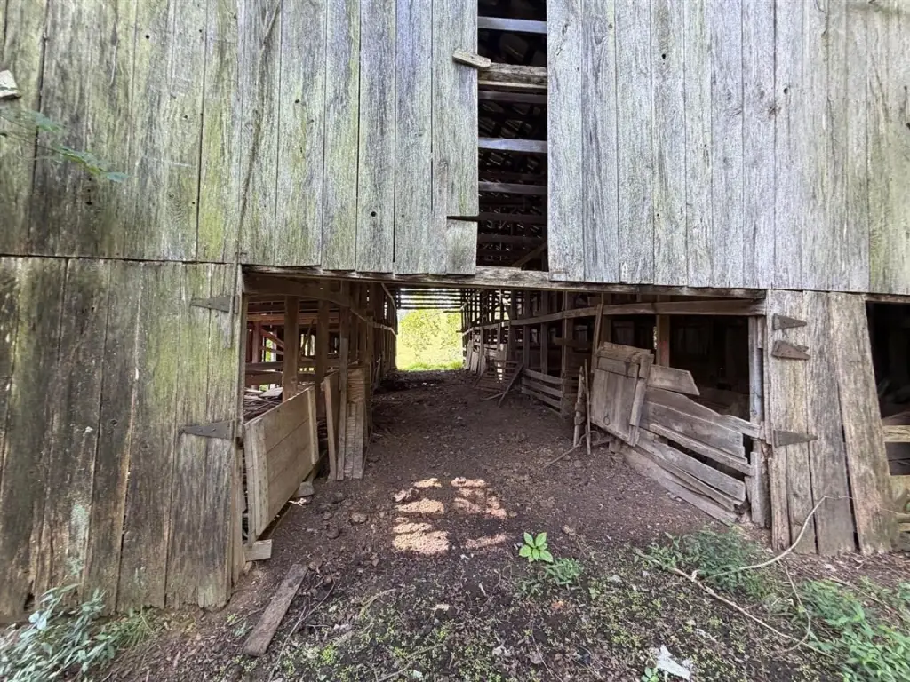 Picture 17