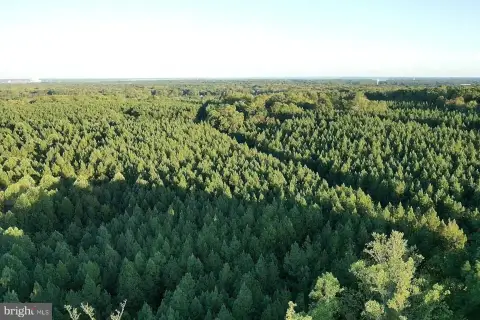 162 Acres Wooded Land, King George