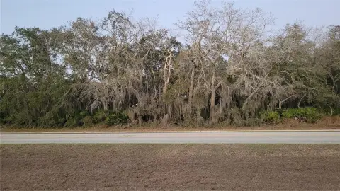 Residential Lot in Poinciana Neighborhood