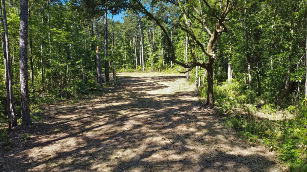 Picture 11