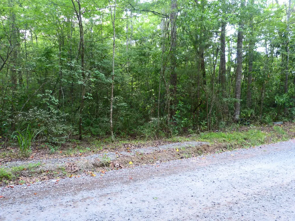 Picture 3