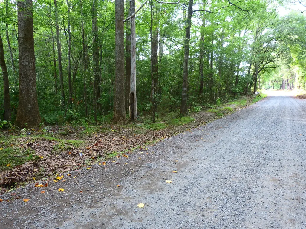 Picture 2
