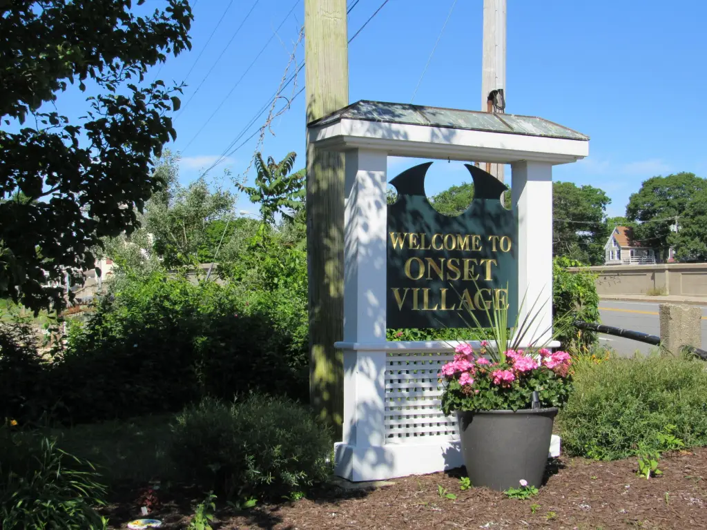 Picture 19