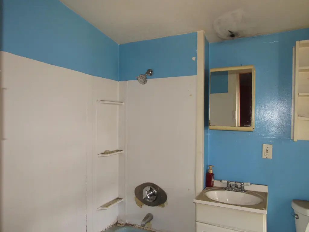 Picture 5