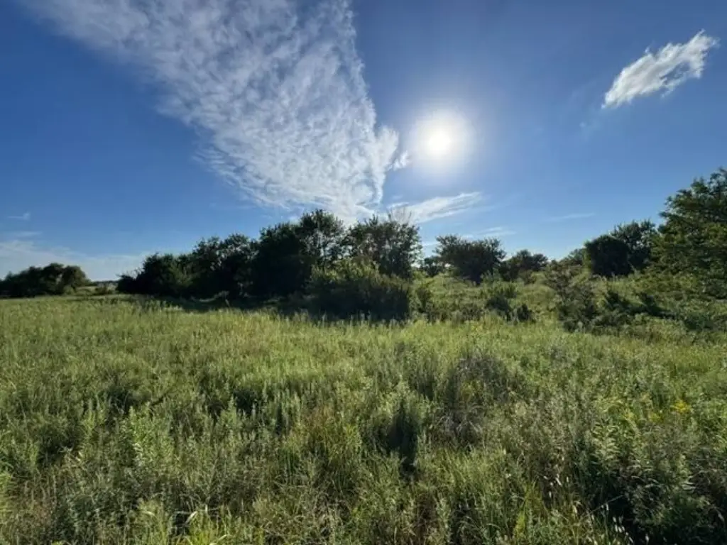 Picture 30