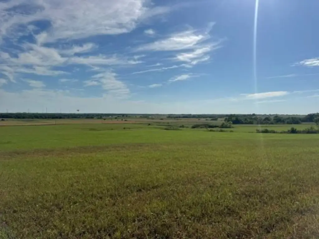 Picture 43