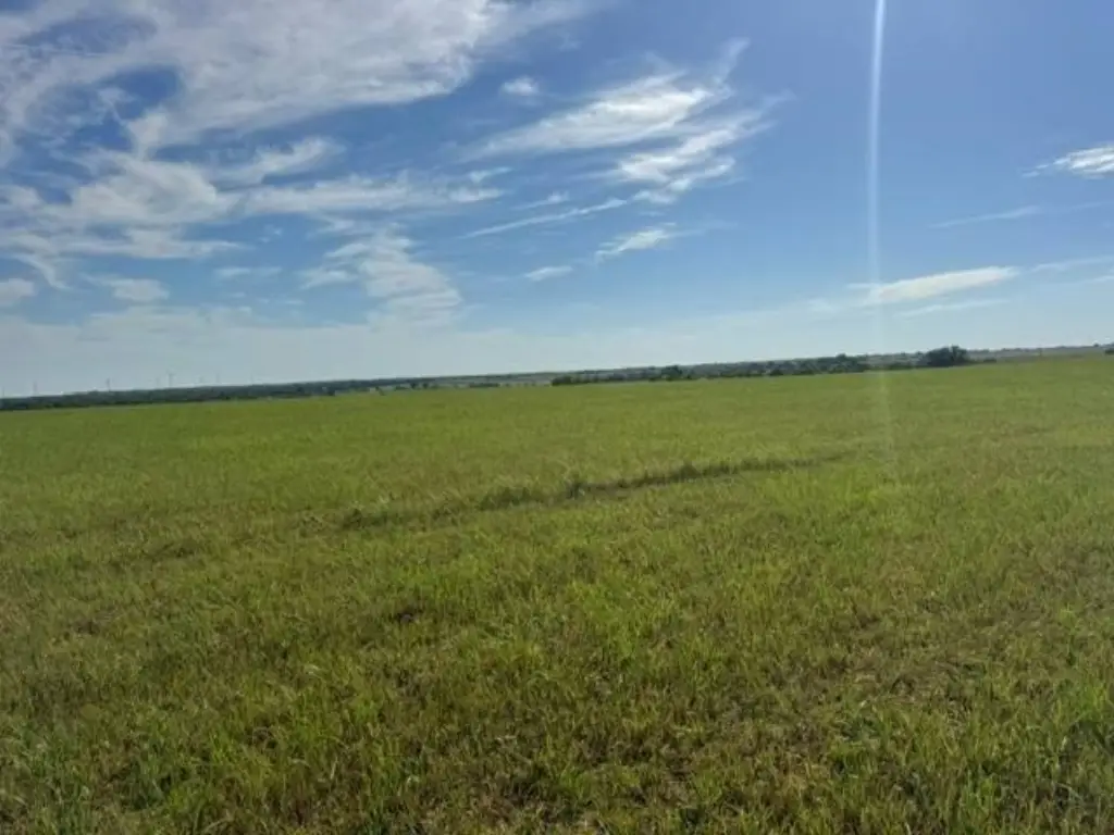 Picture 42