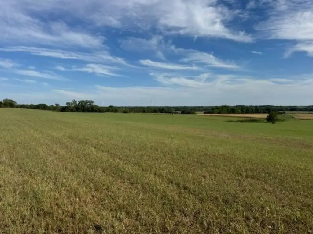 Picture 44
