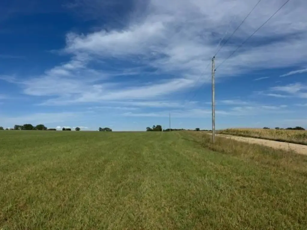 Picture 27