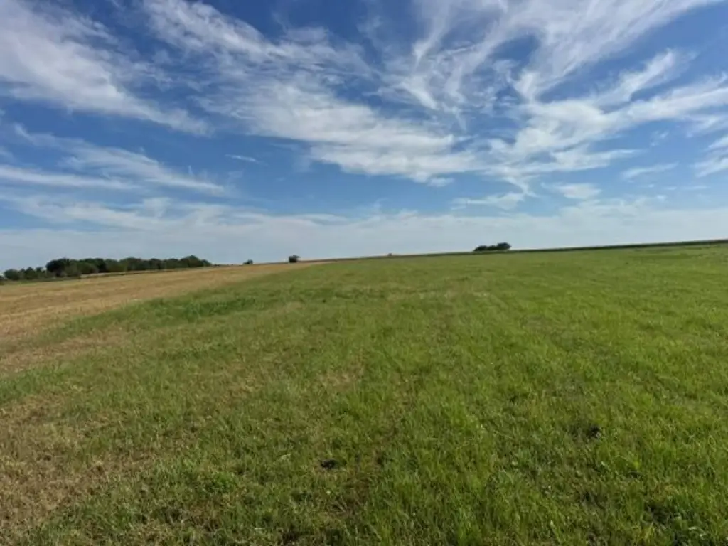 Picture 49