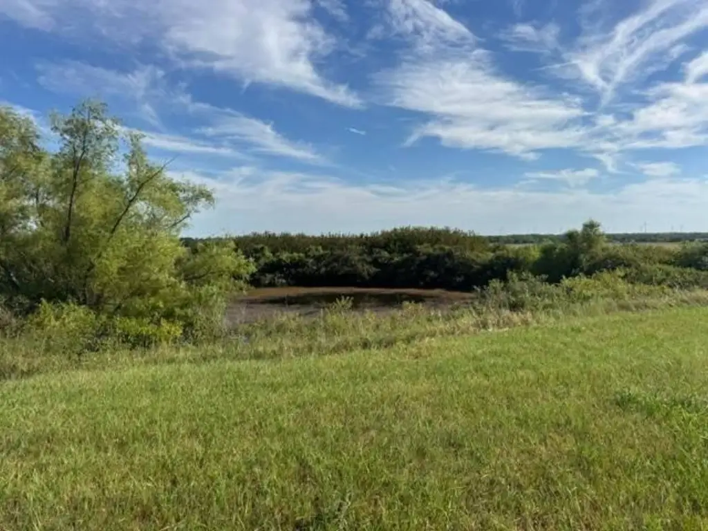 Picture 33