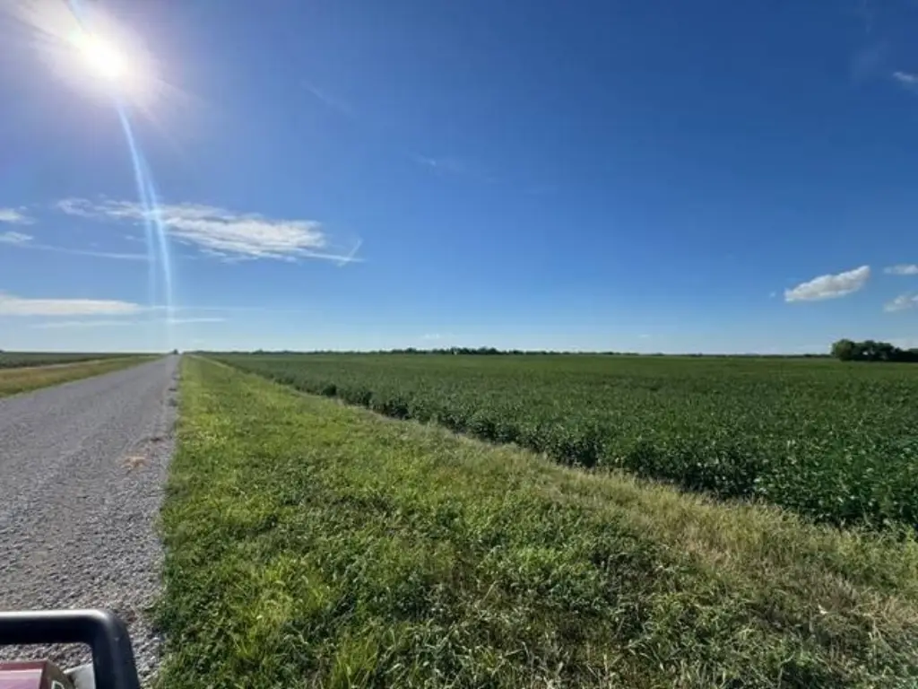 Picture 46
