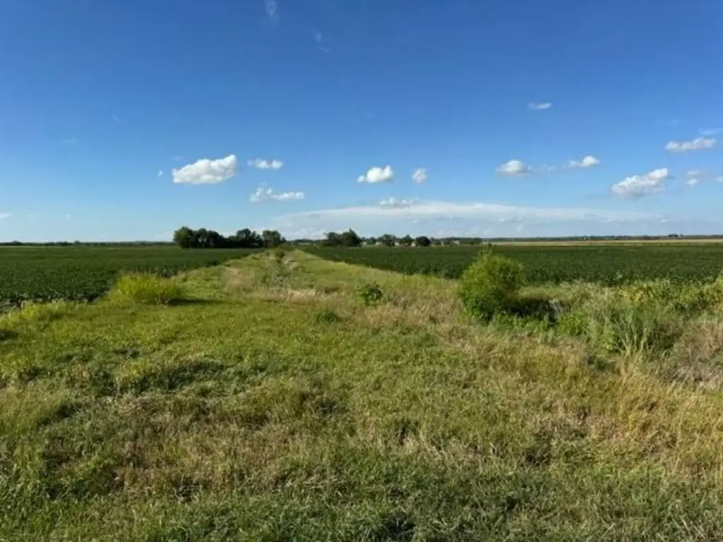 Picture 44