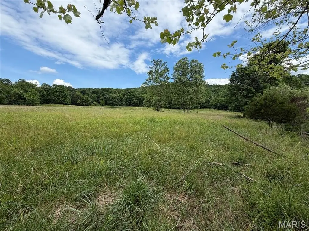 Picture 30