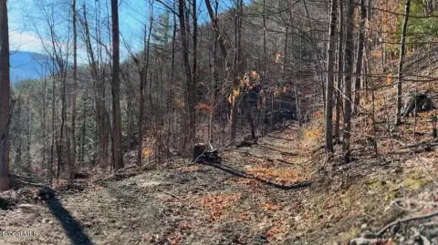 Middleburgh Land with Development Potential