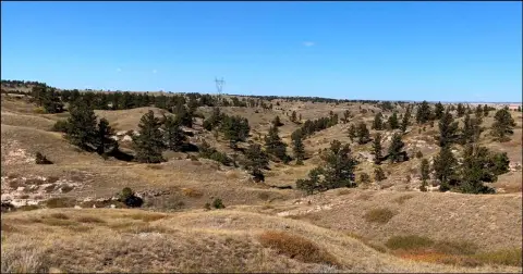 624 Acres of Farmland